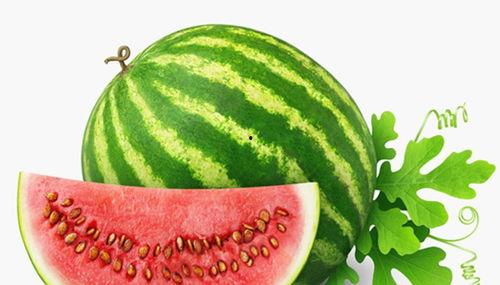 和孩子们一起来吃瓜